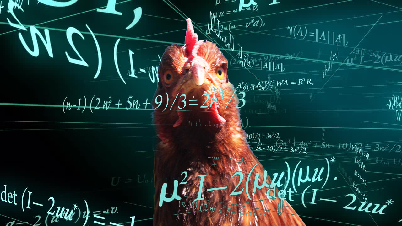Chicken Math 101 with Quiz! BackYard Chickens Learn How to Raise