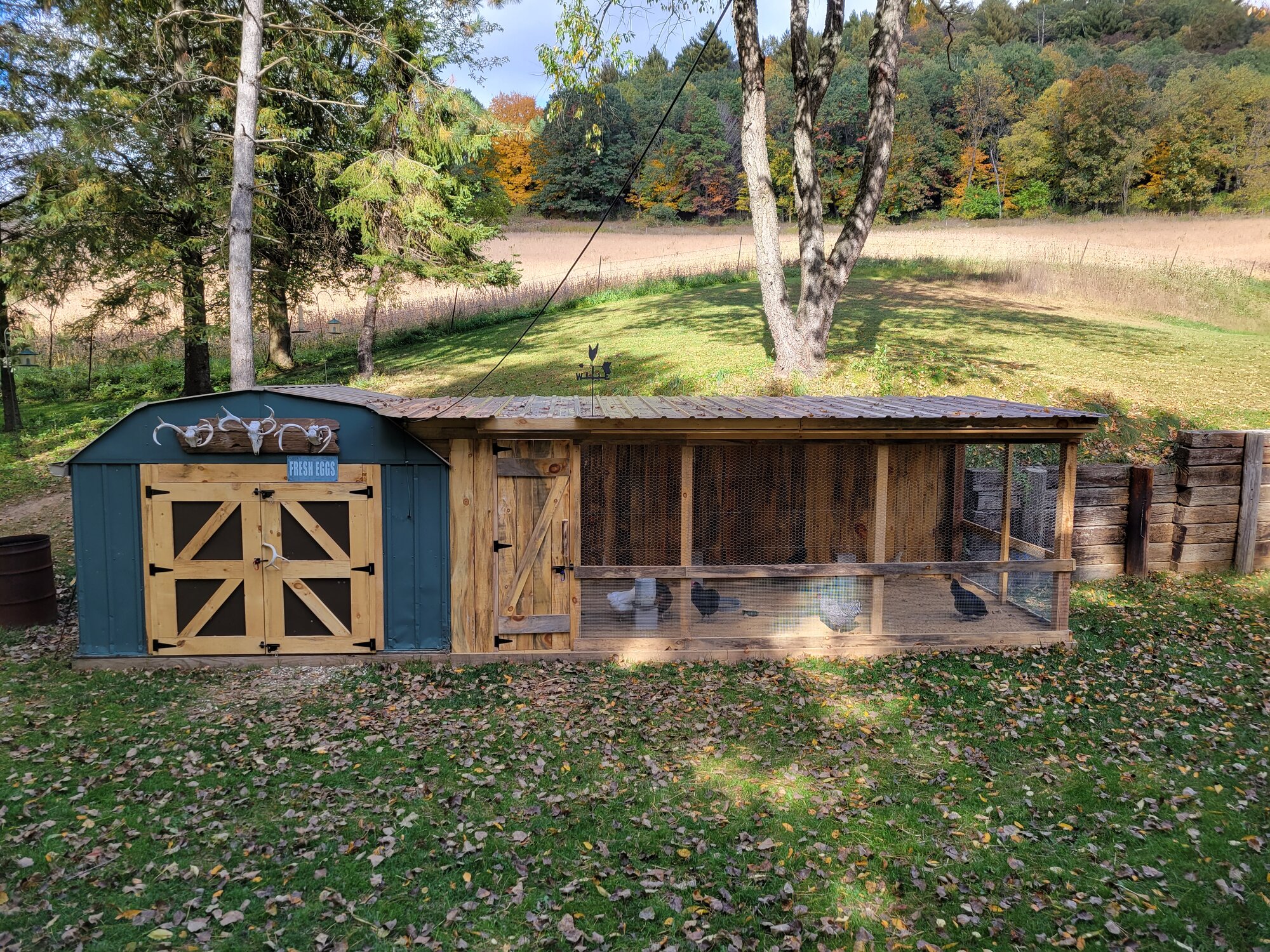 Chicken Run and Shed conversion BackYard Chickens Learn How to