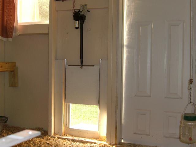 55700_cimg6310.jpg
