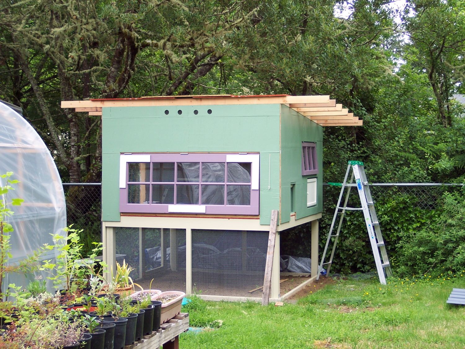 Coop by the Coast BackYard Chickens Learn How to Raise Chickens