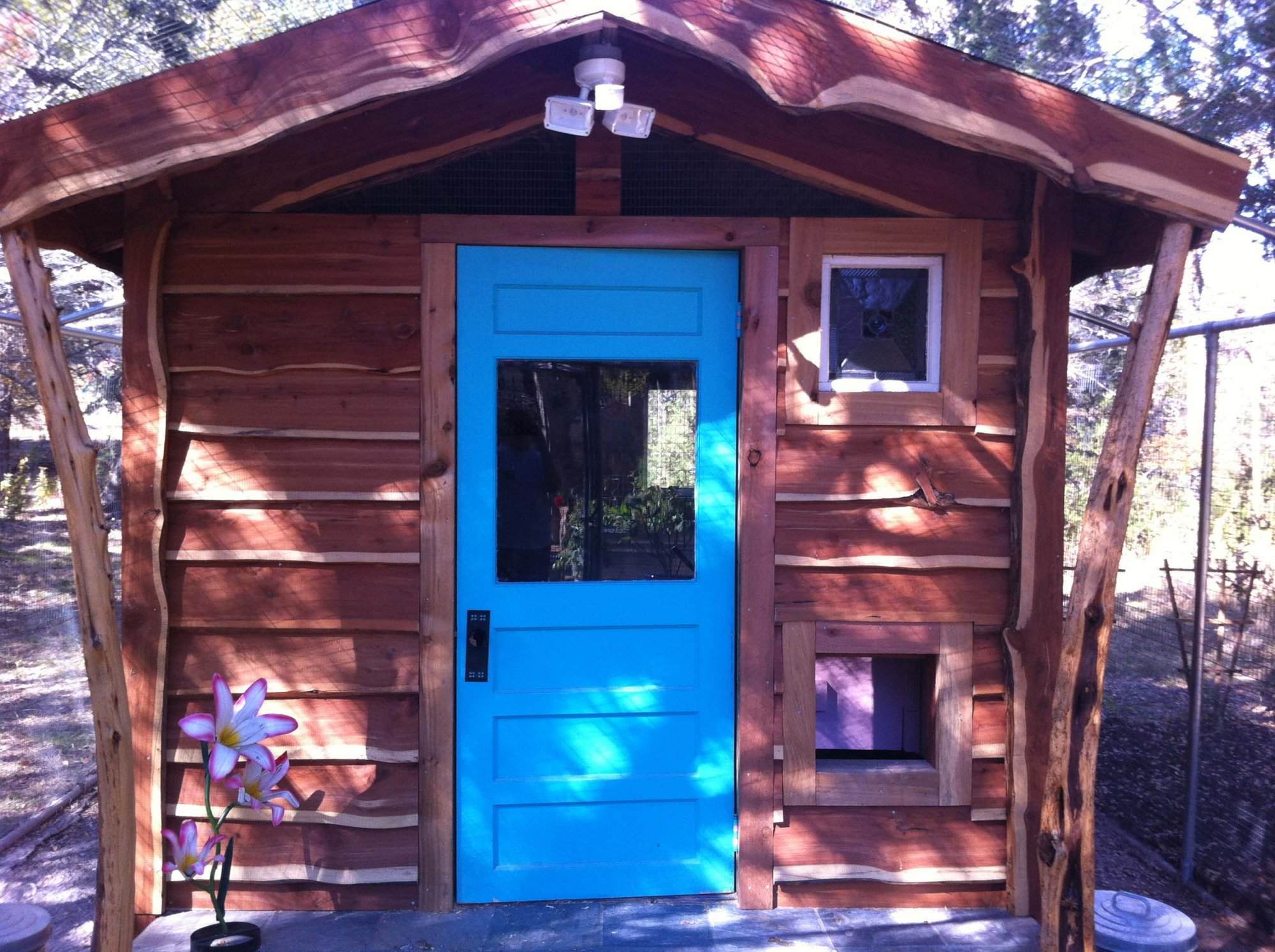 Coop De Ville In Austin Tx BackYard Chickens Learn How to Raise