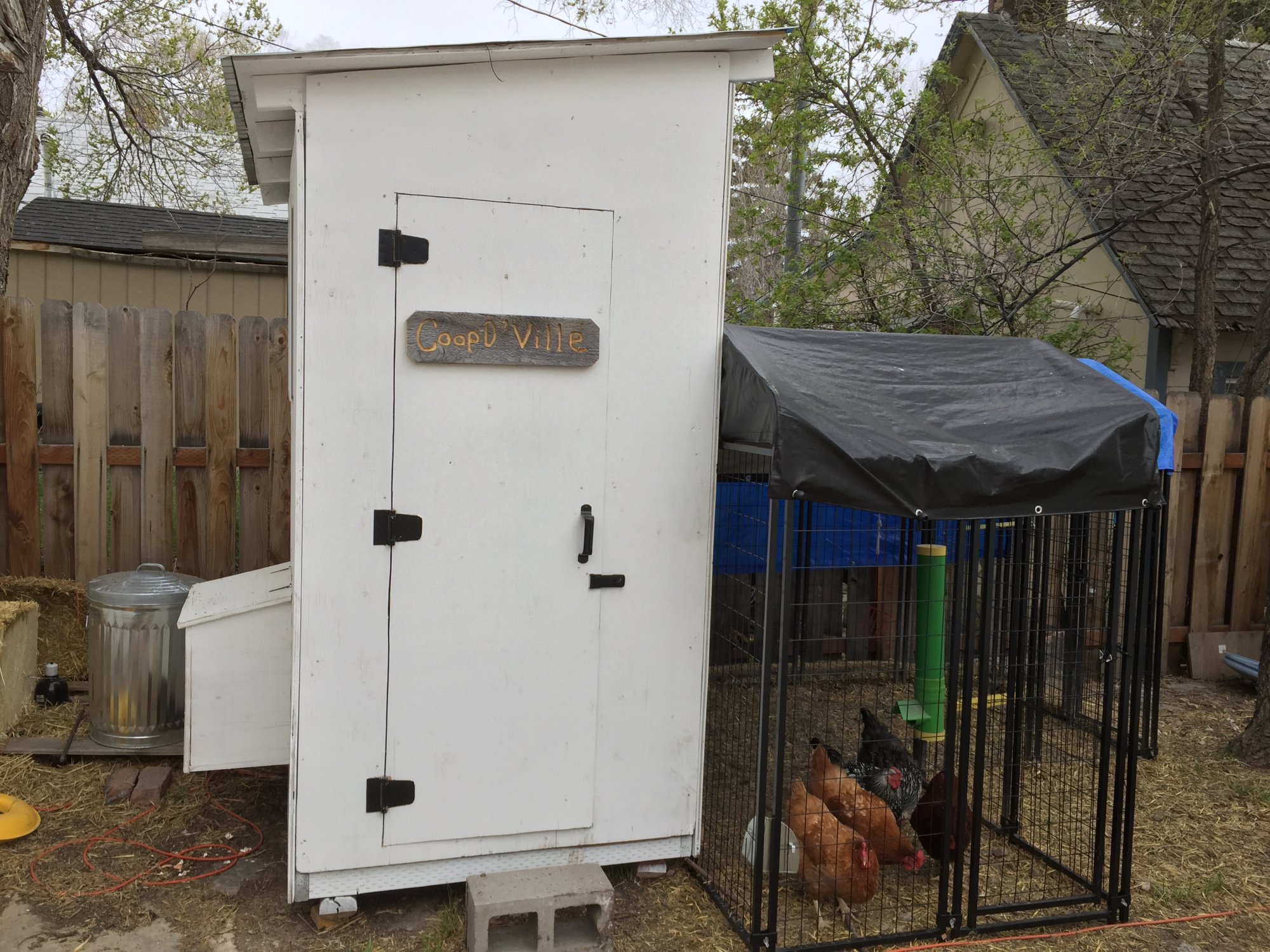 Coop D'Ville in Wyoming BackYard Chickens Learn How to Raise Chickens