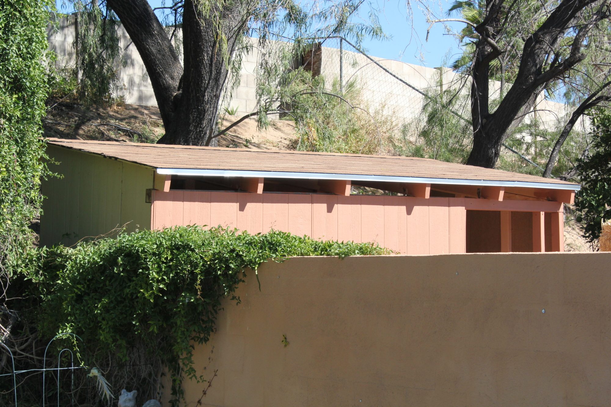 coop for Easter Eggers and Guineas BackYard Chickens Learn How to