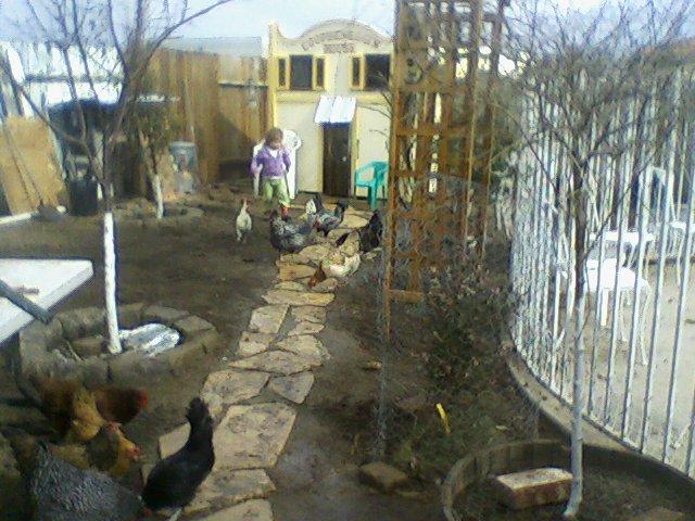 49203_0109111237a.jpg