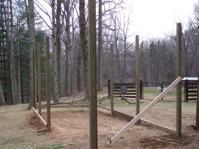 Covered Run BackYard Chickens Learn How to Raise Chickens