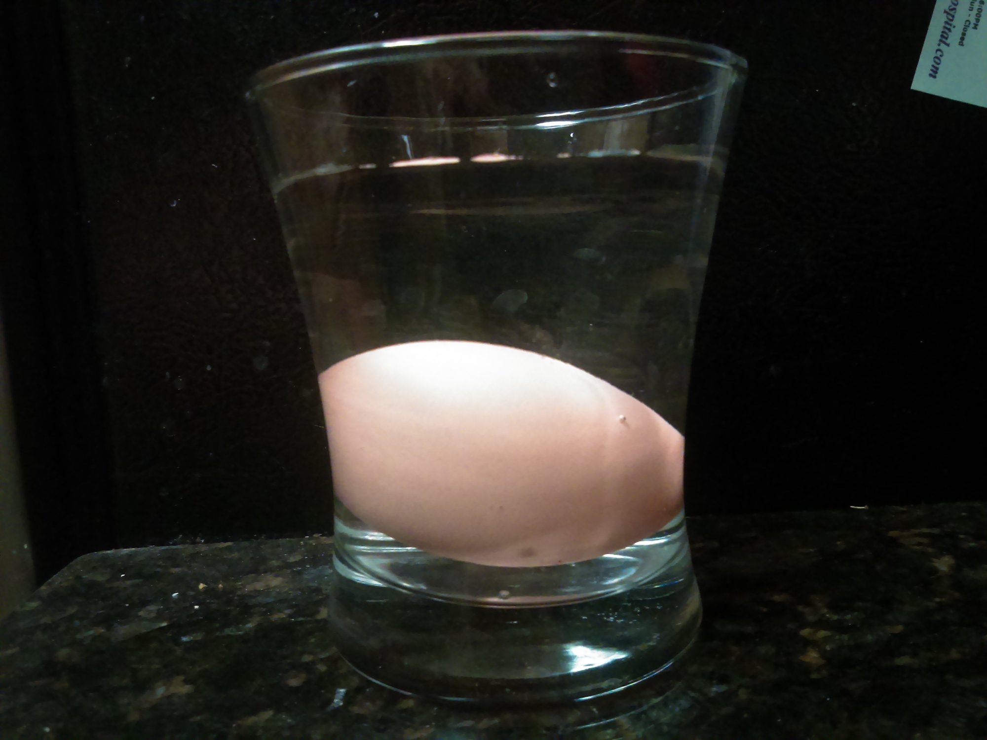Egg Float Test—Easy Steps to Tell A Good Egg From A Bad Egg BackYard