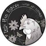 LittleHenRescueLogo--Transparent-1.jpg