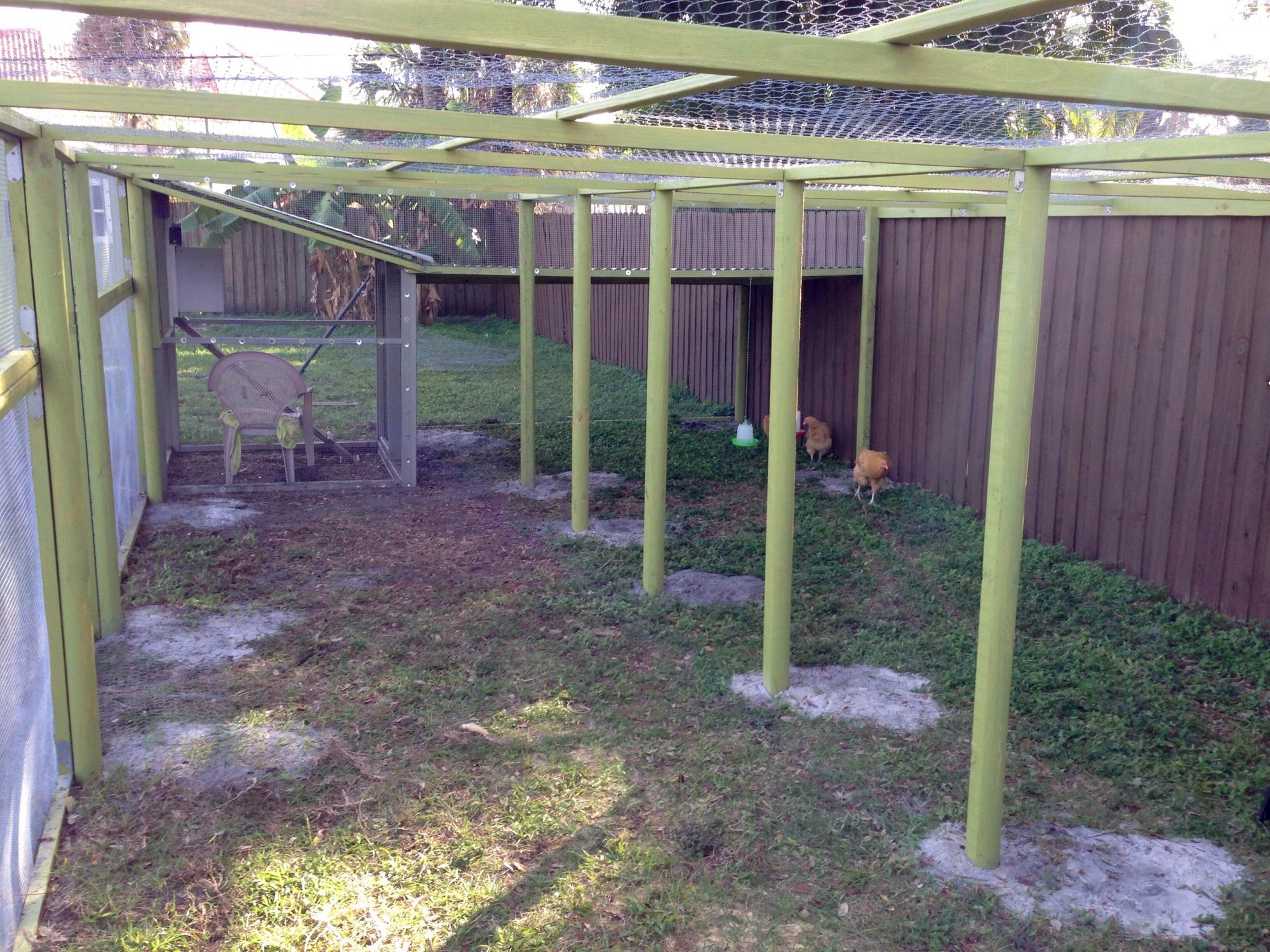 Florida Coop BackYard Chickens Learn How to Raise Chickens
