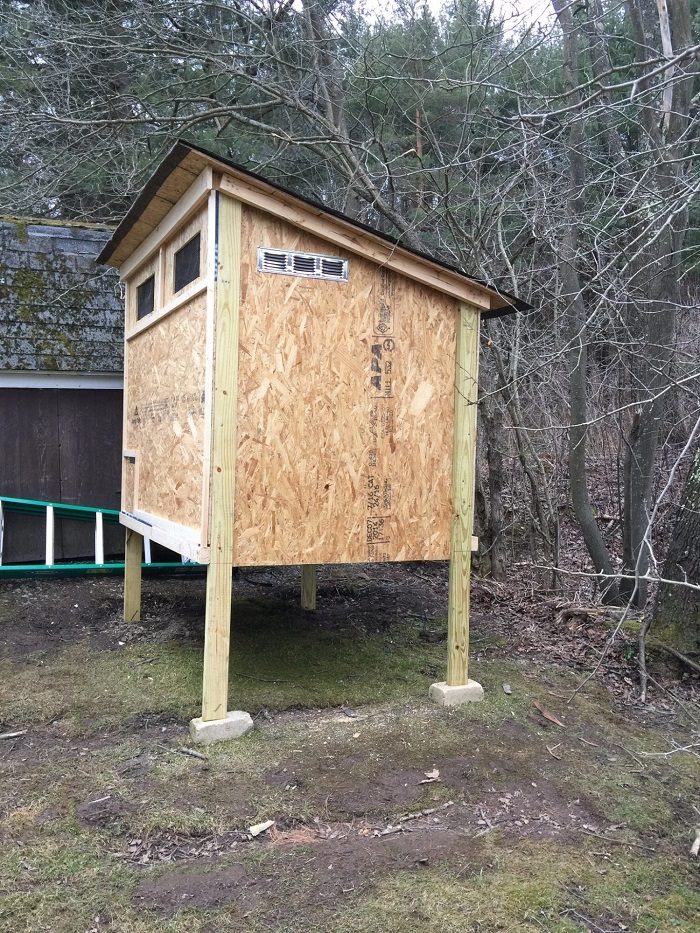  Green chicken coop BackYard Chickens - Learn How to 