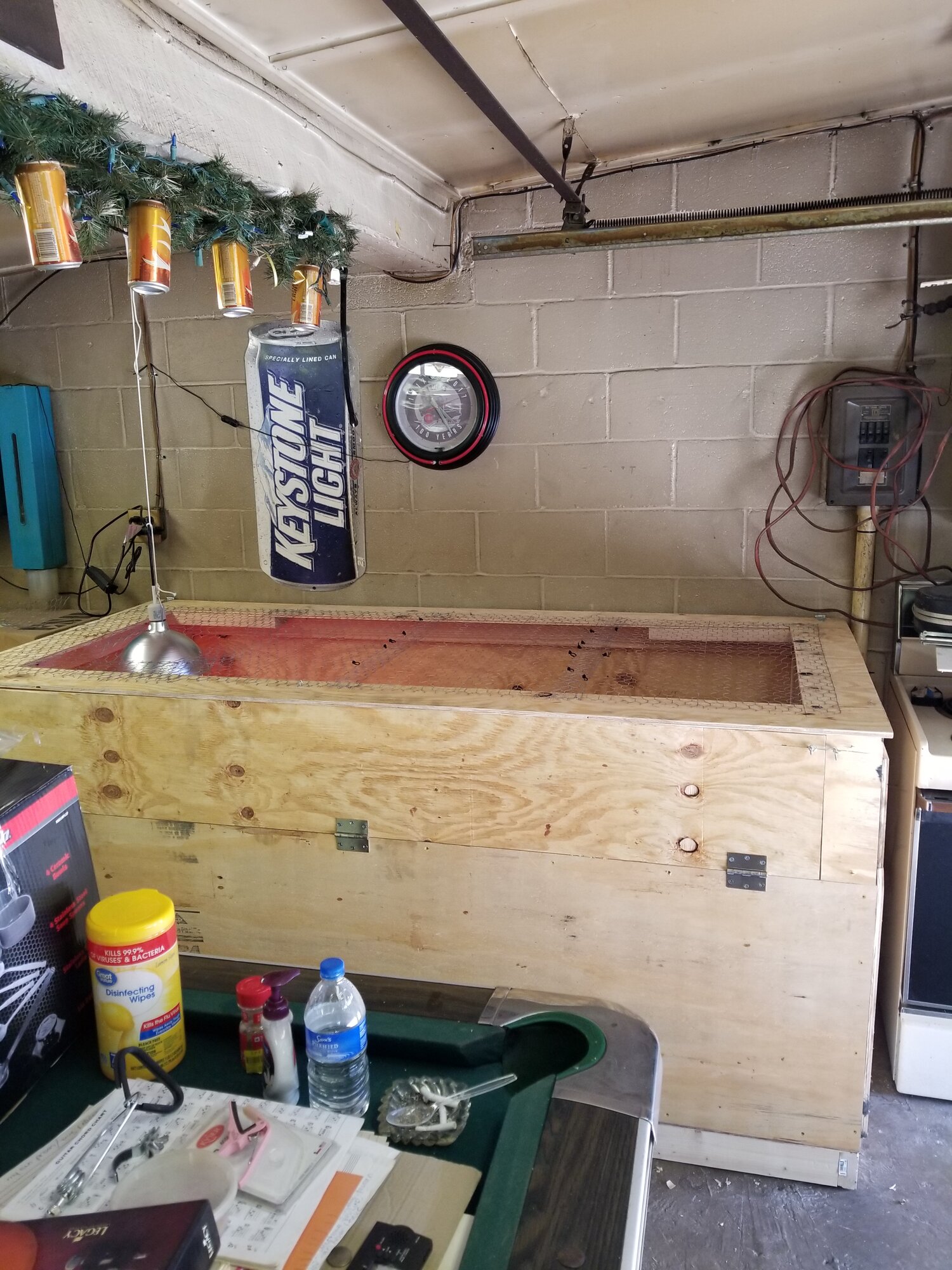 20200503_150549.jpg