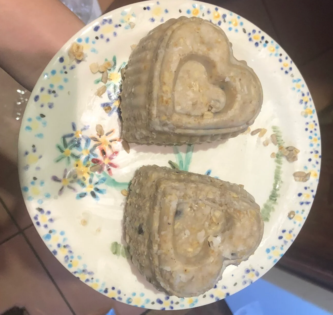 Homemade Suet Cake for Poultry! Send in your photos... BackYard