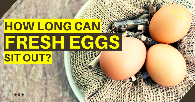 Wondering How to Wash Fresh Eggs? It's Safer Not To! - Backyard Poultry