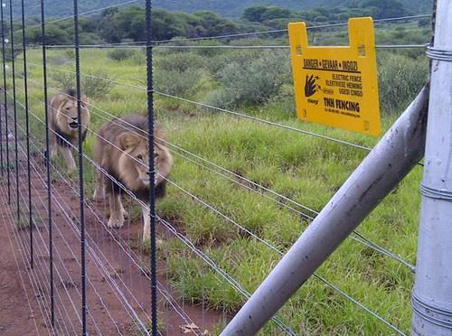 smart fence- solar fencing.jpg