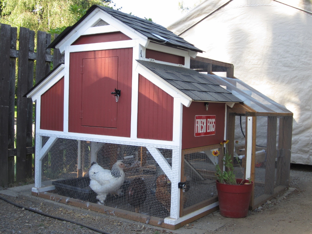 Little City Chicken Coop | BackYard Chickens - Learn How ...
