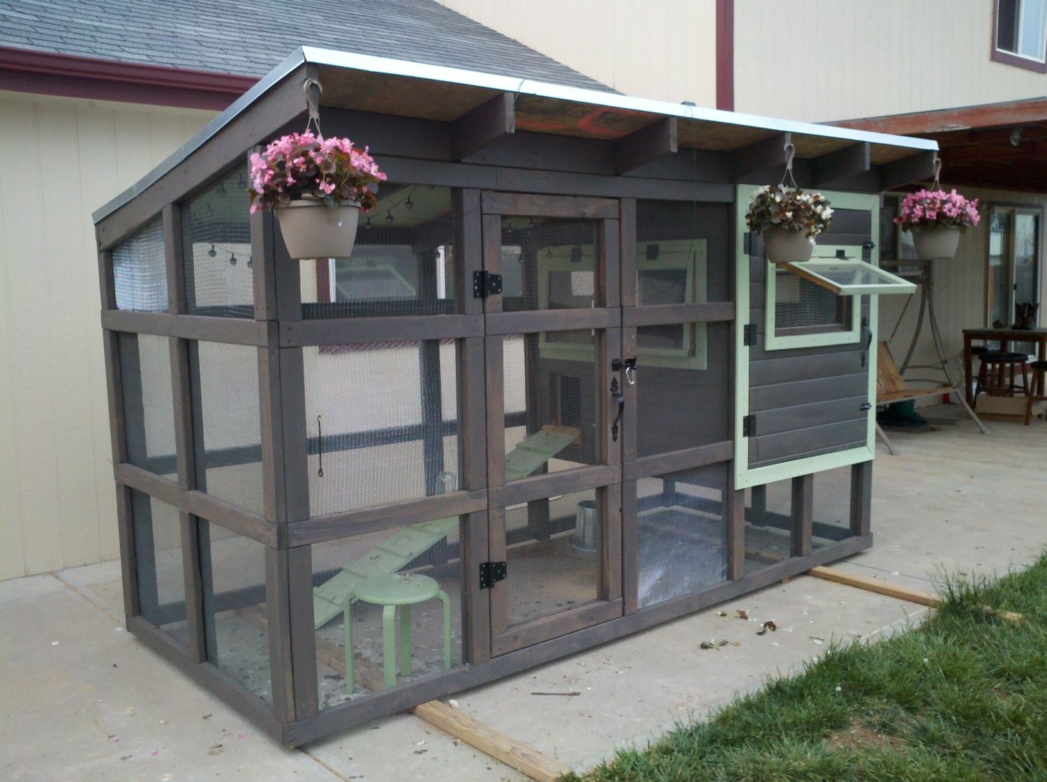 Loveland Wichita Knockoff BackYard Chickens Learn How to Raise Chickens