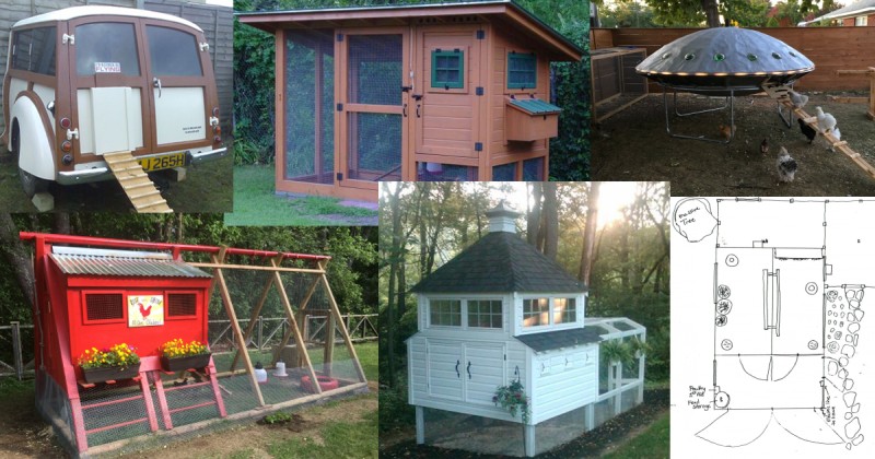 Medium Chicken Coop Designs Pictures Of Chicken Coops Backyard