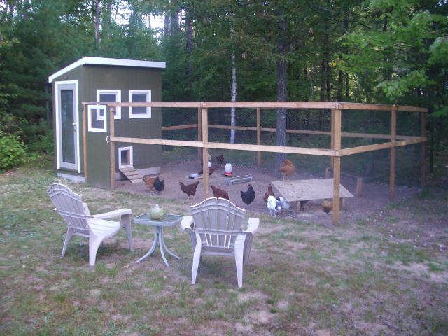 41210_chicken_coop_6.jpg