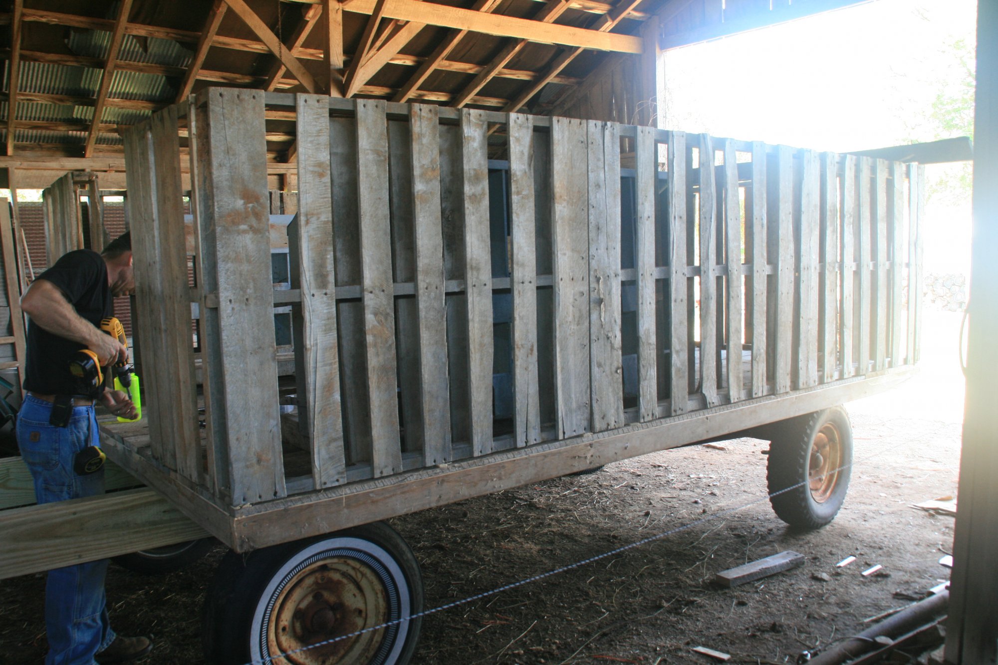 Chicken in a Hen House