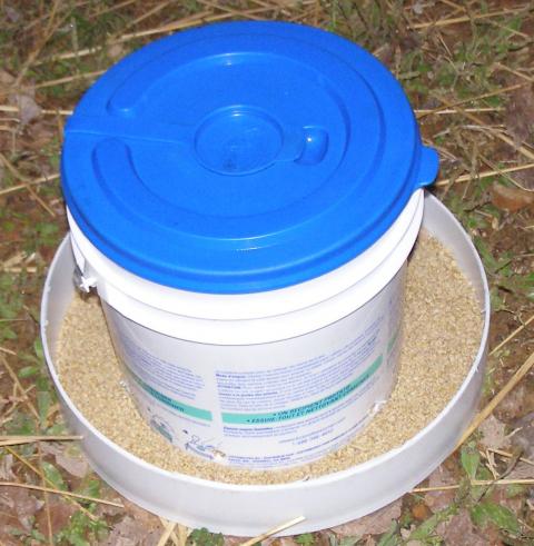 17215_bucket_feeder_6.jpg