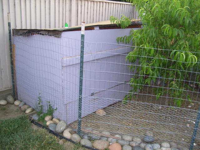 98777_chickens_115.jpg
