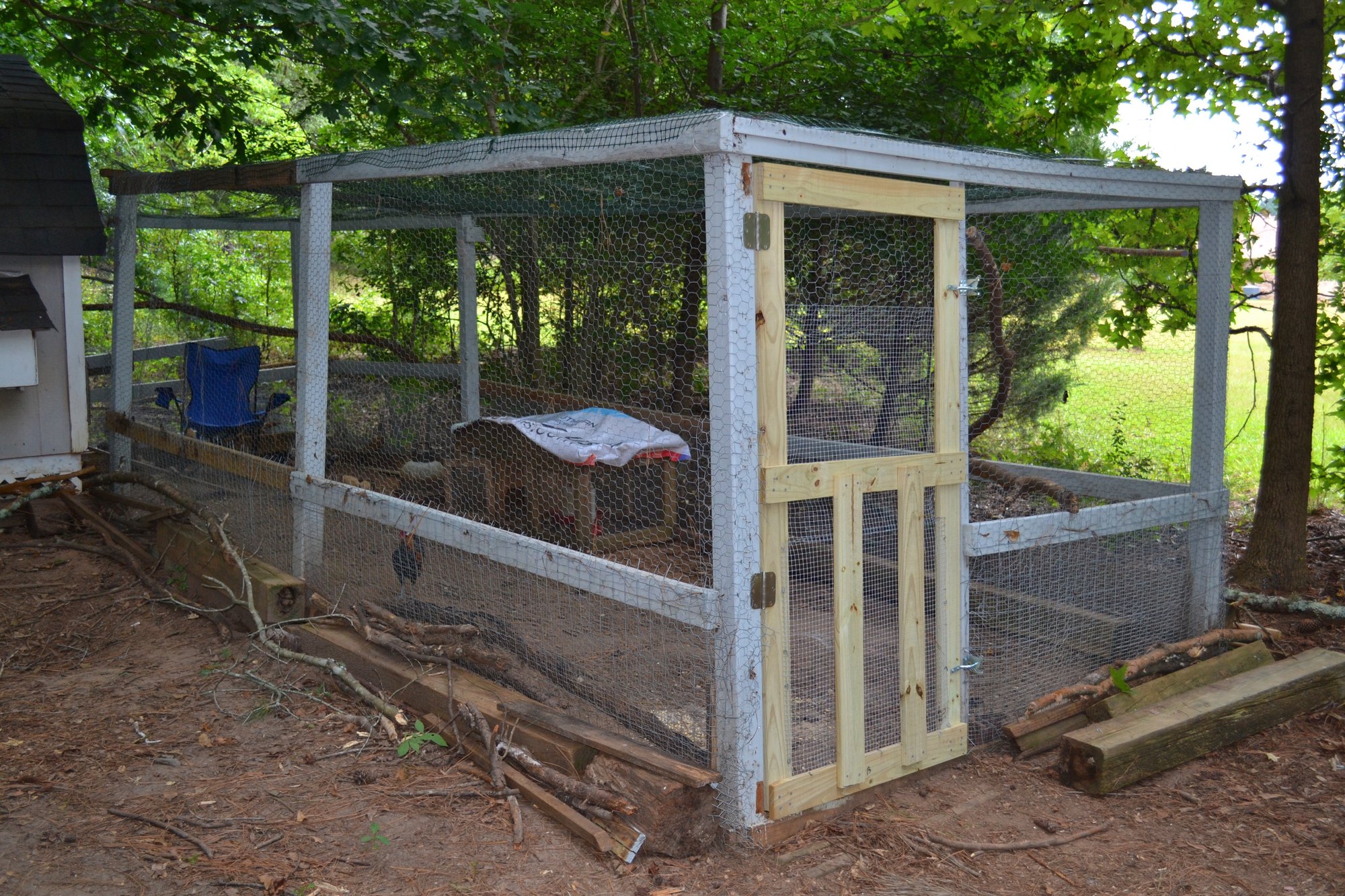 My Coop! BackYard Chickens Learn How to Raise Chickens