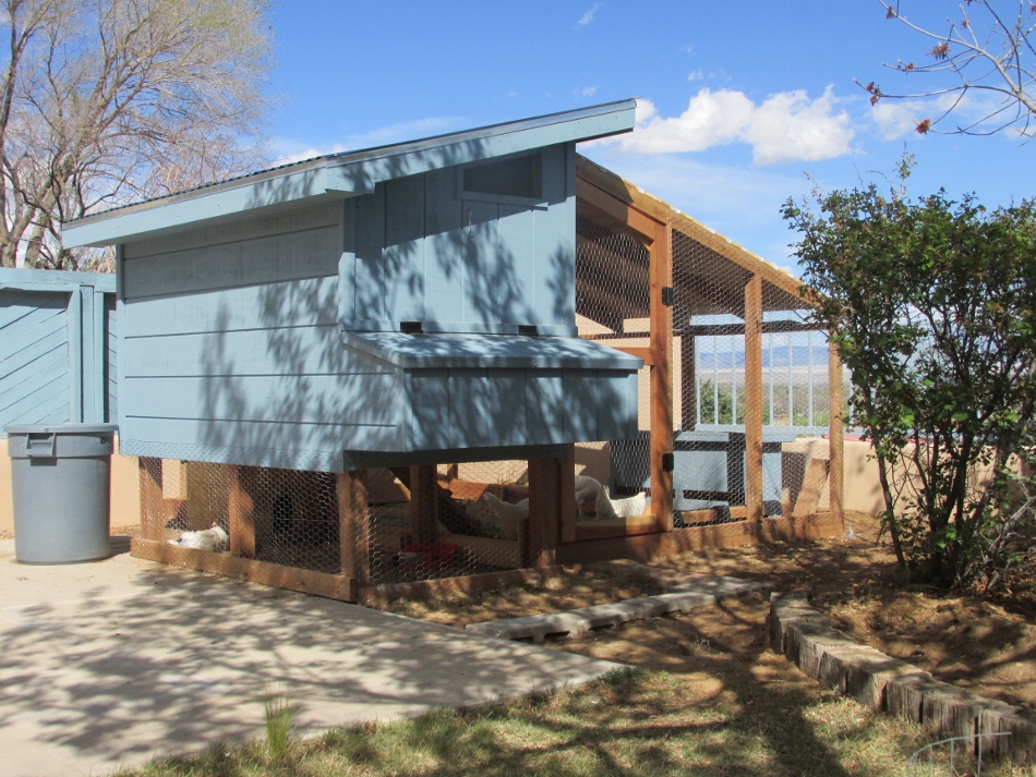 A-1 Chicken Coop (950x713).jpg