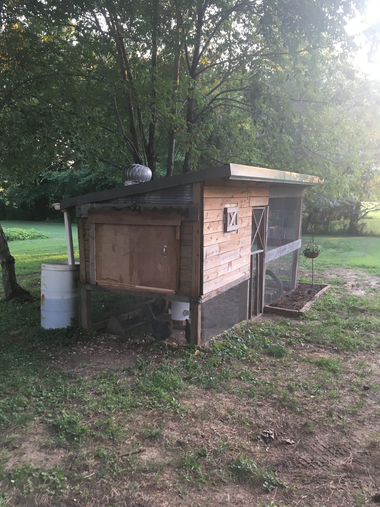My setup BackYard Chickens Learn How to Raise Chickens