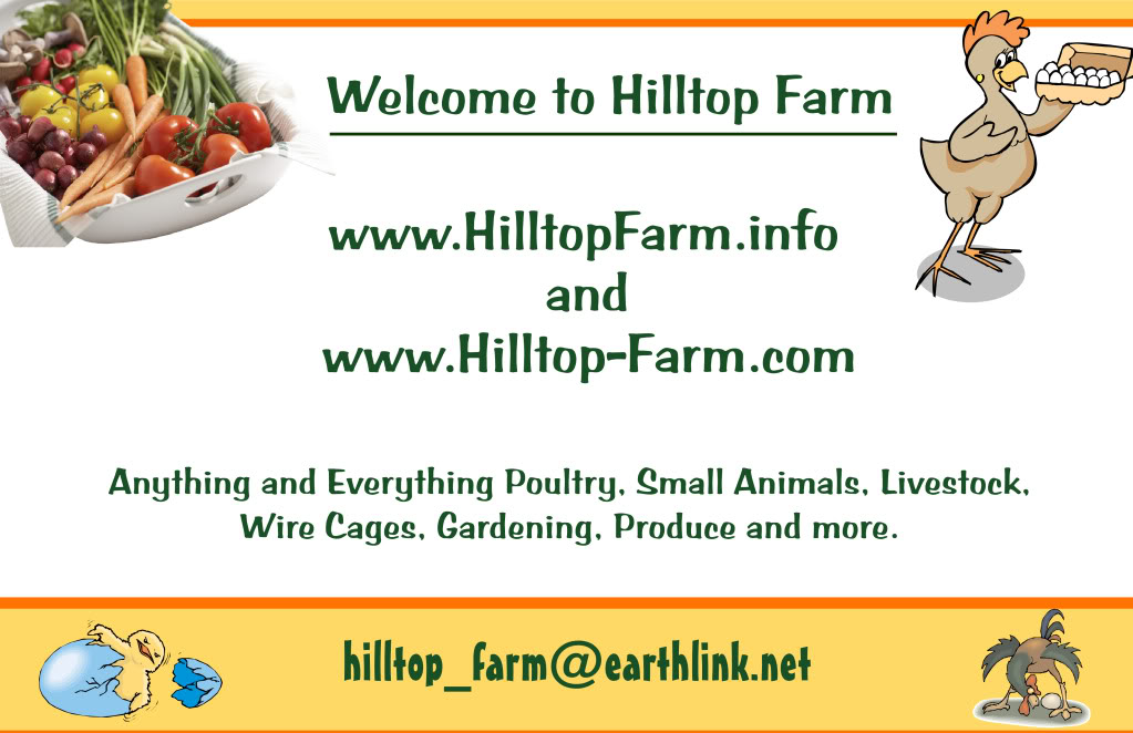 N Central Florida Swap Meet BackYard Chickens Learn How to Raise