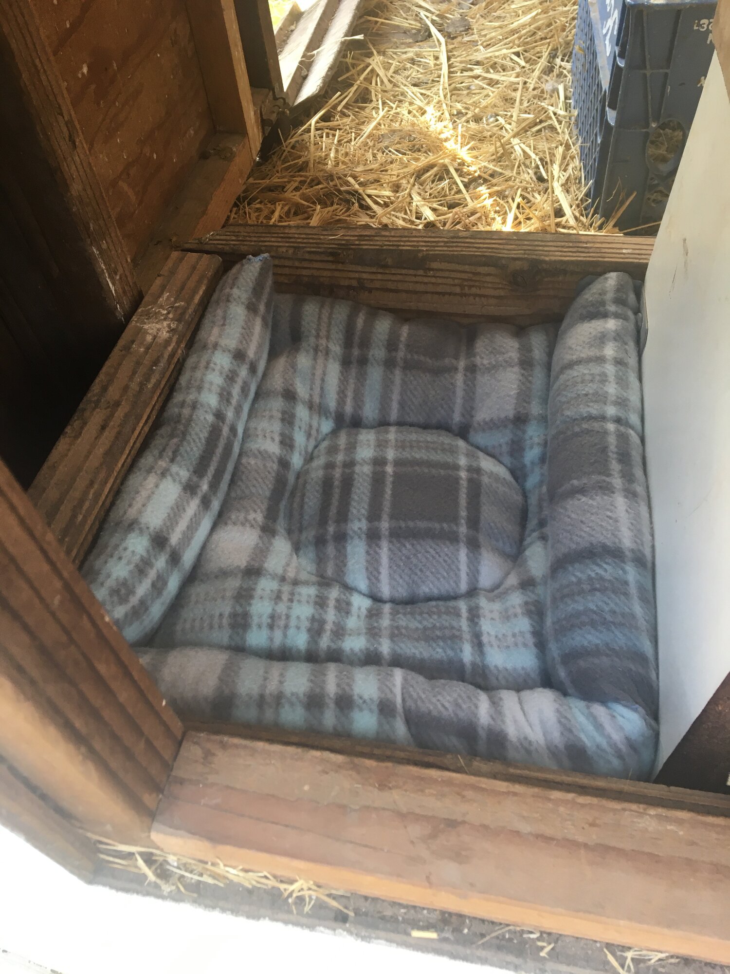 Nesting box pads diy BackYard Chickens Learn How to Raise Chickens