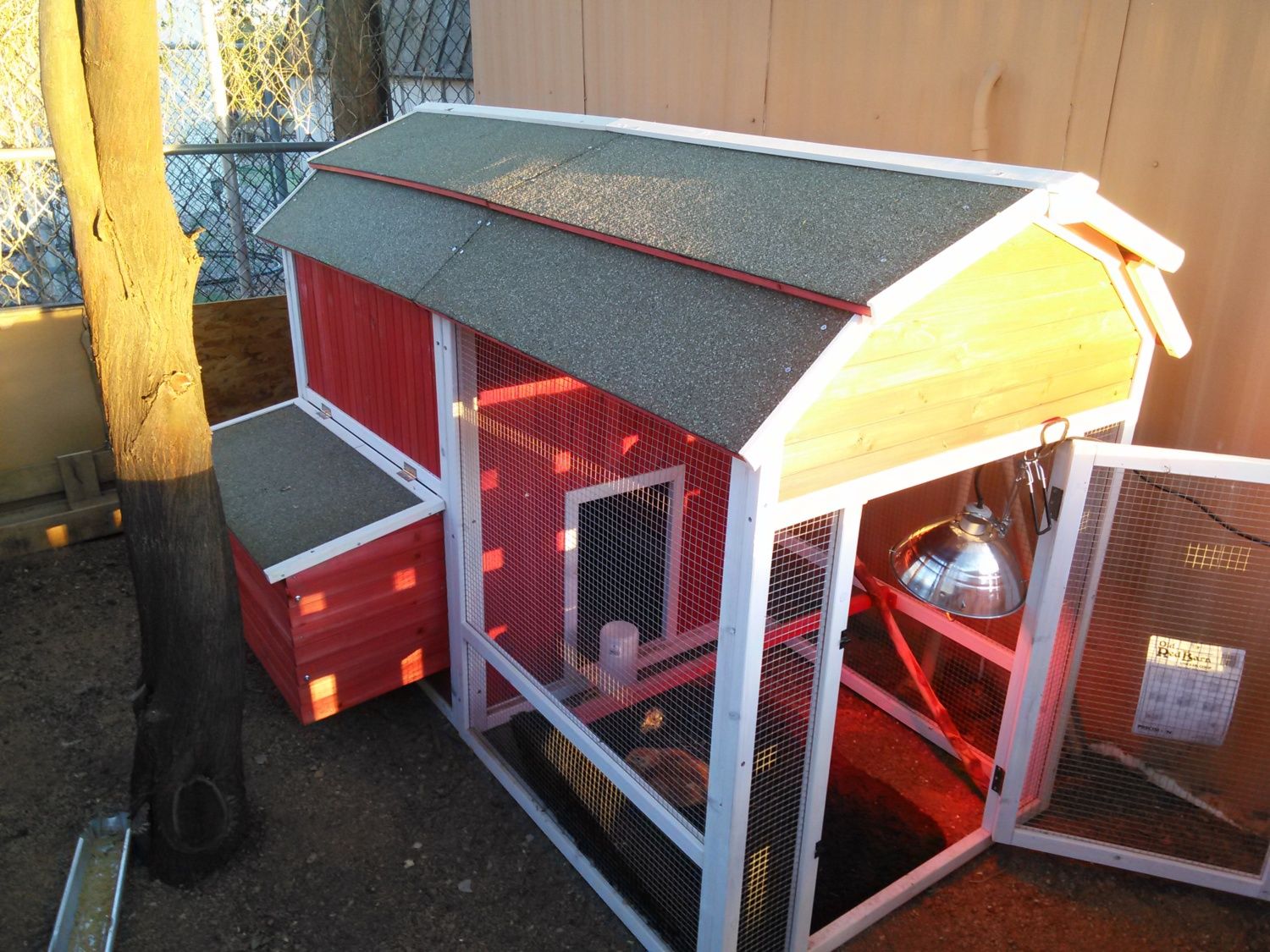 New chick owner coop and run is done!! AZ BackYard Chickens Learn