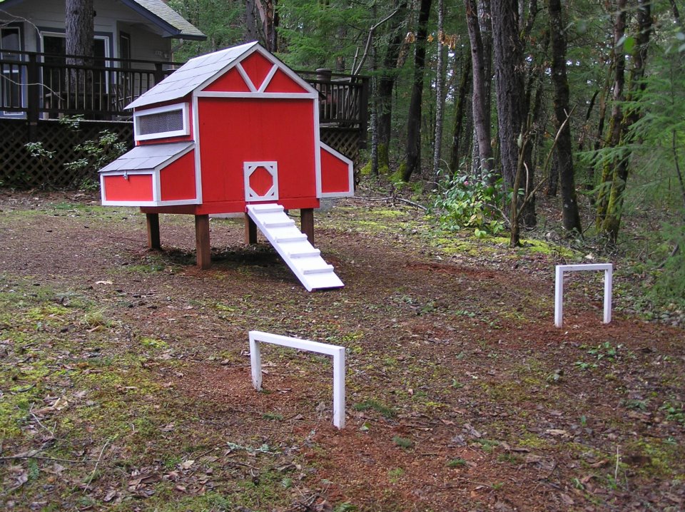 birdcoop4.jpg