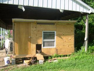 57274_chickens_063.jpg