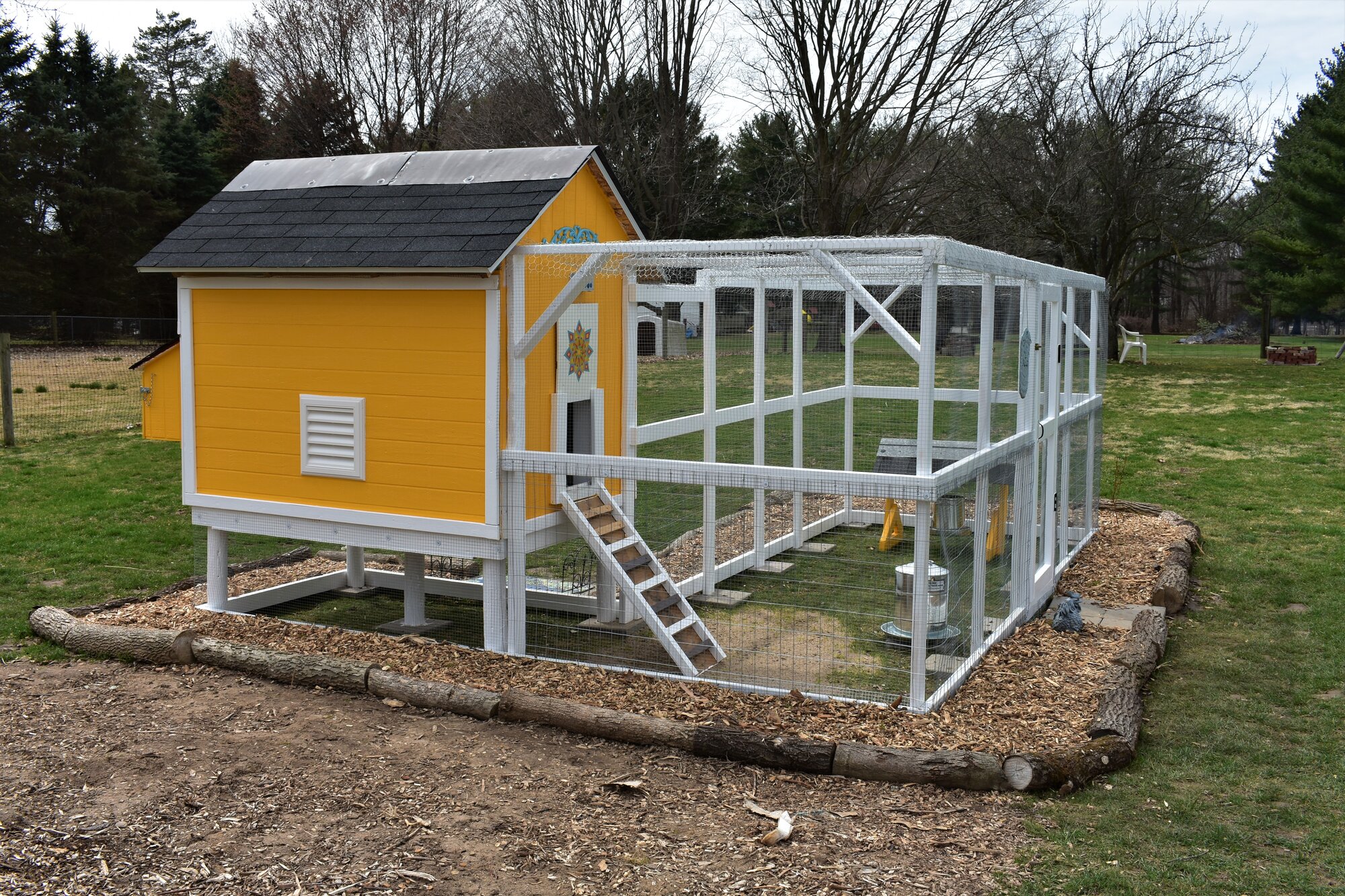 Our First Chicken Coop Build! BackYard Chickens Learn How to Raise
