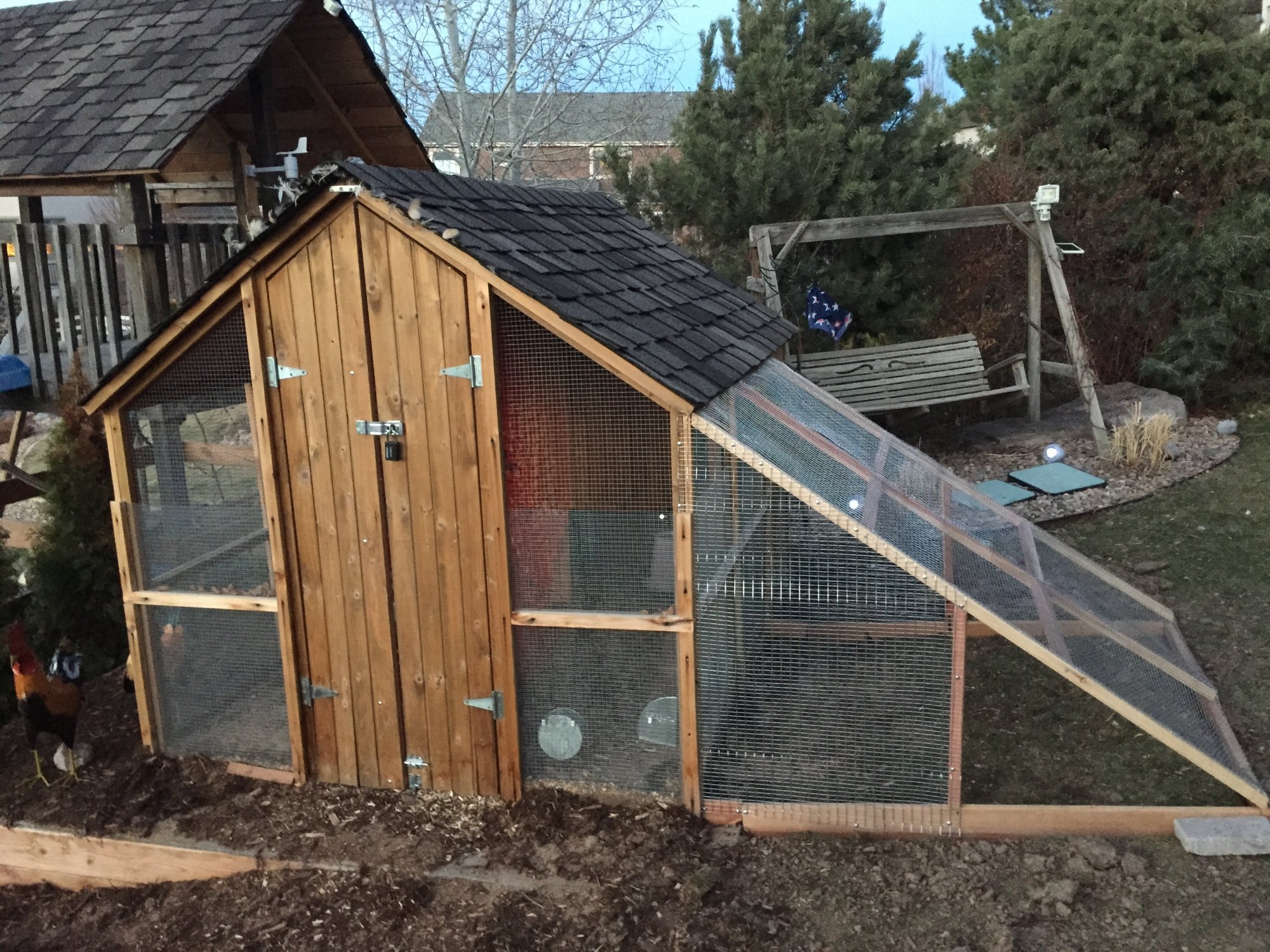 Our large coop for 6 hens - Cover Image