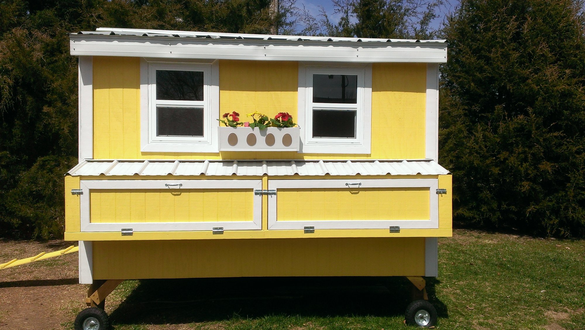 Ozarks Coop BackYard Chickens Learn How to Raise Chickens