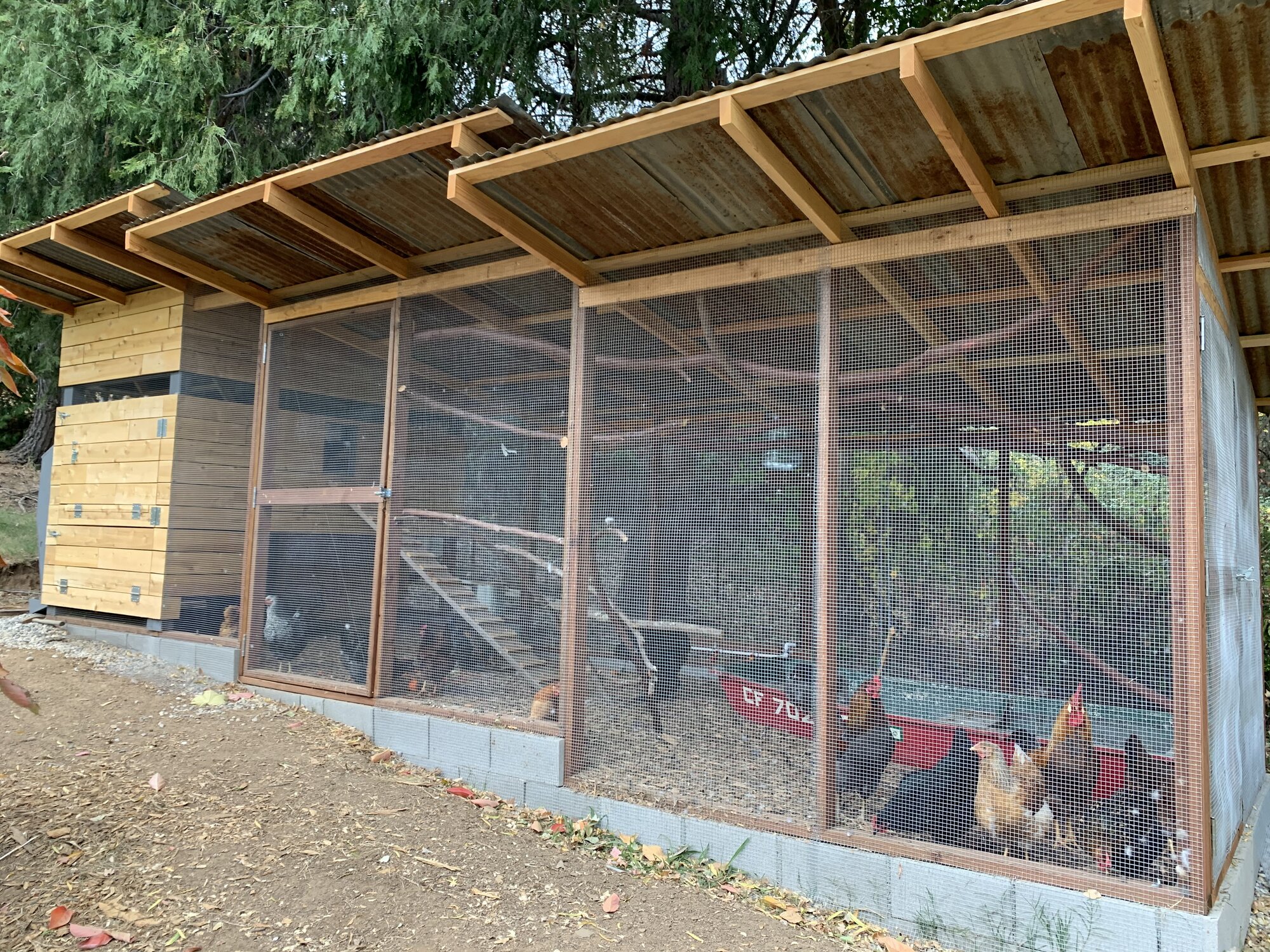 Perkolator's Modern Chicken Estate 2019