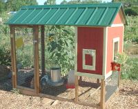 playhouse-coop-2-tn.jpg