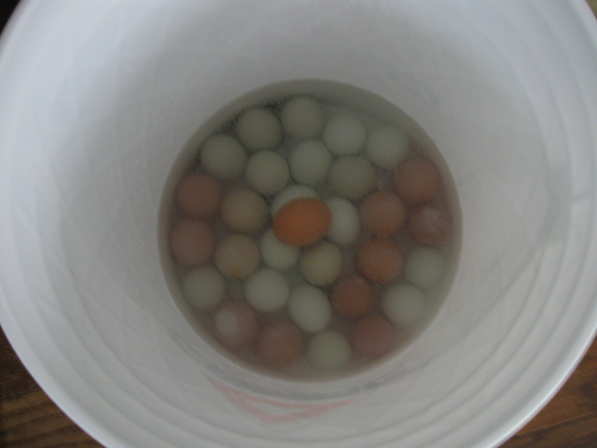 Science Explains Why Rotten Eggs Float