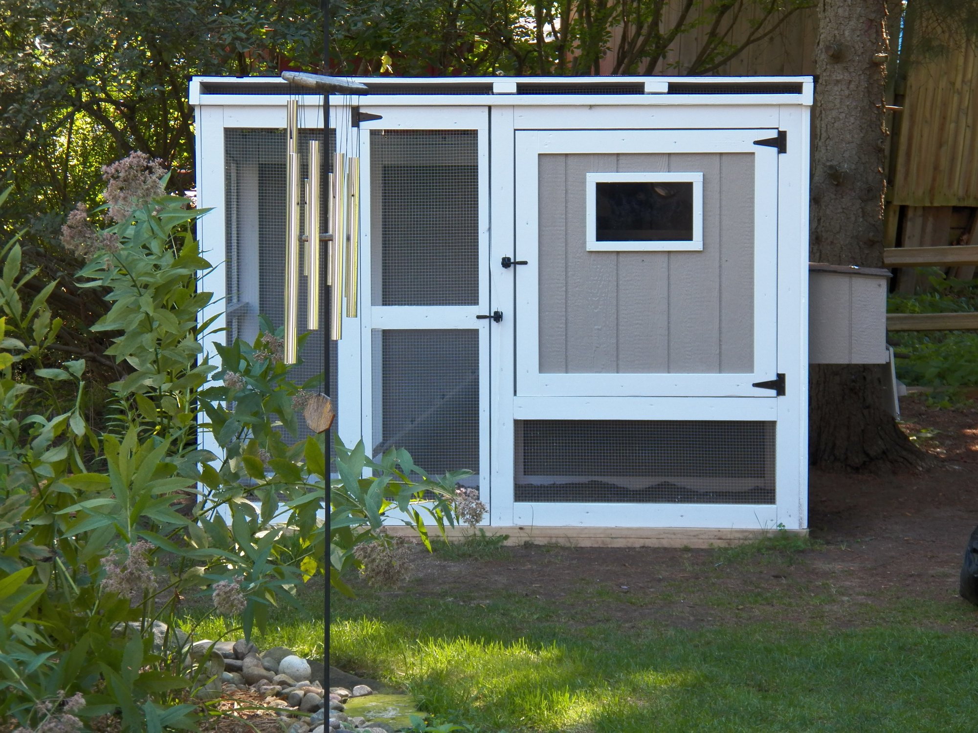 Purina Inspired Coop BackYard Chickens Learn How to Raise Chickens