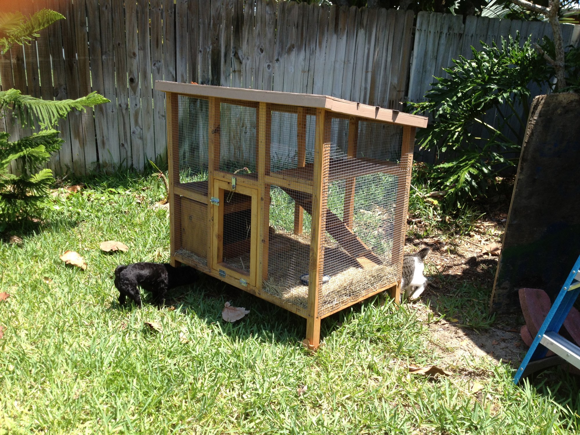 craigslist rabbit hutch