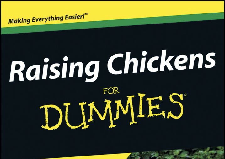 raising-chickens-for-dummies-cover.jpg