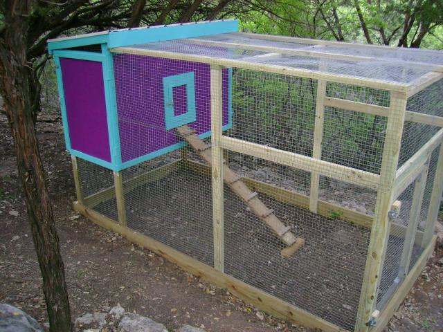 33943_06_10_coop01.jpg