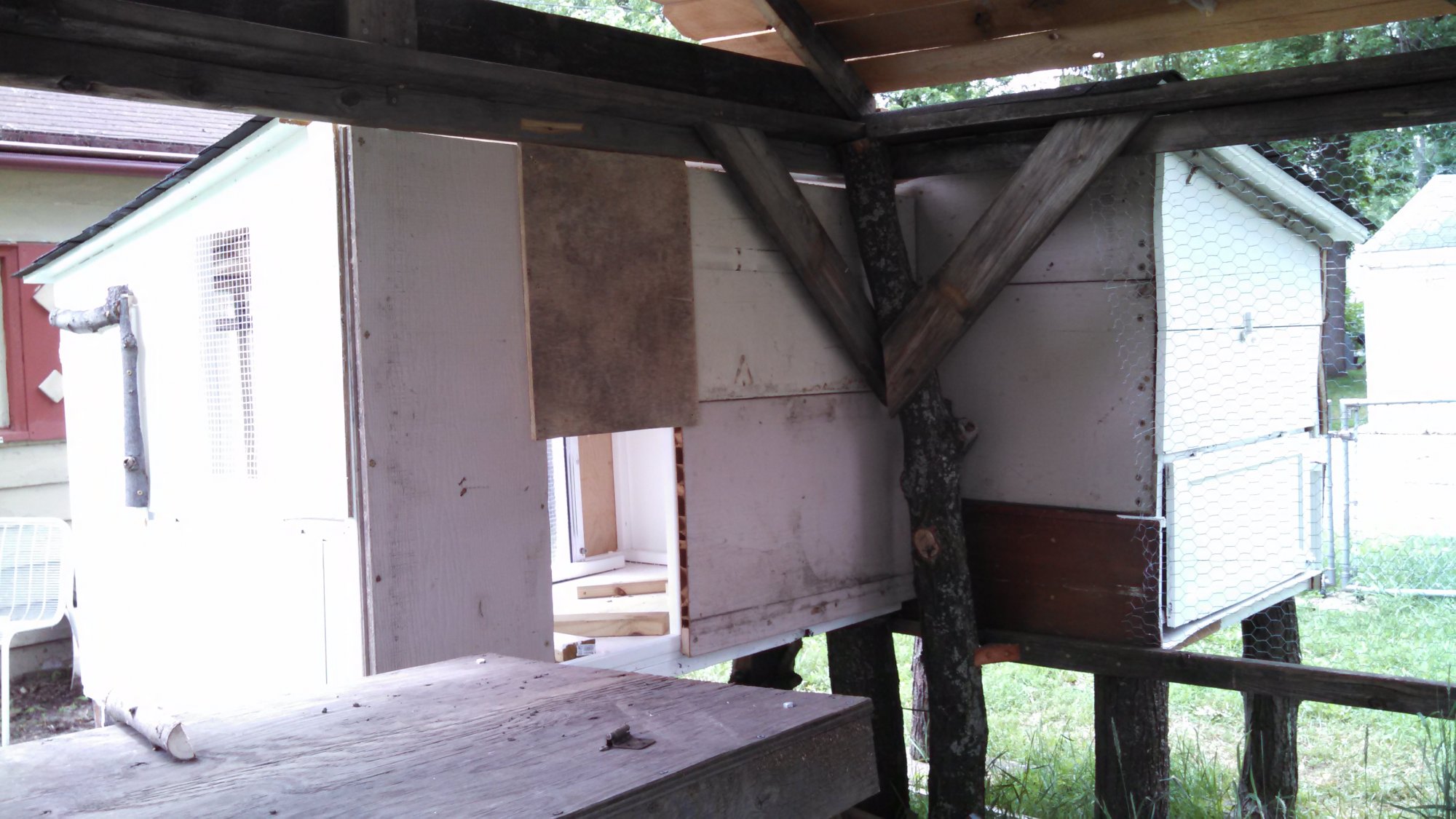 Recycled and Reclaimed BackYard Chickens Learn How to Raise Chickens