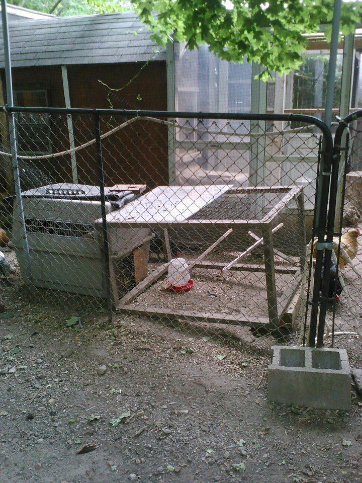 Recycled Parts Make A Coop BackYard Chickens Learn How to Raise