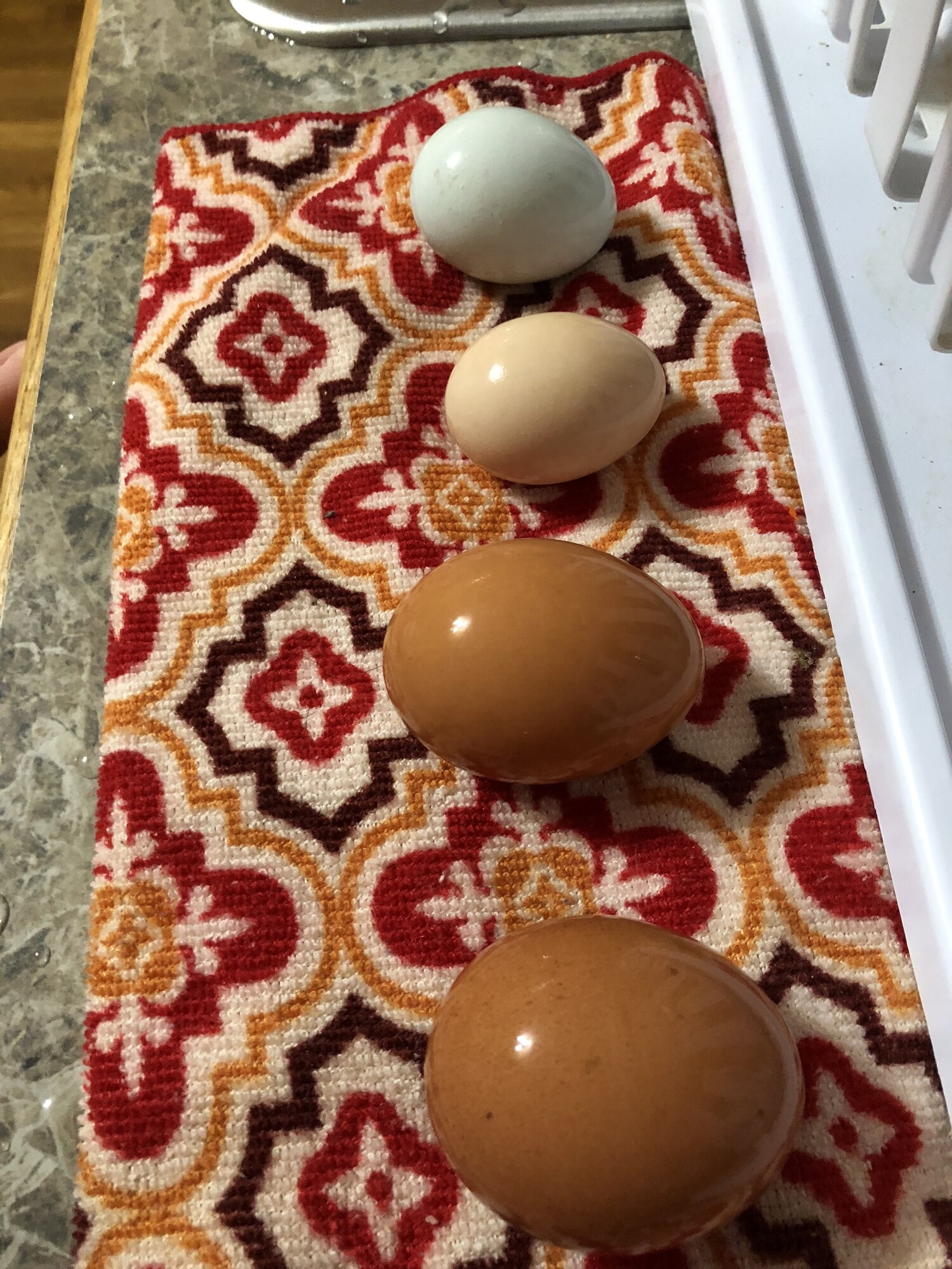 Selling eggs for beginners What to do and how to get started BackYard Chickens Learn How