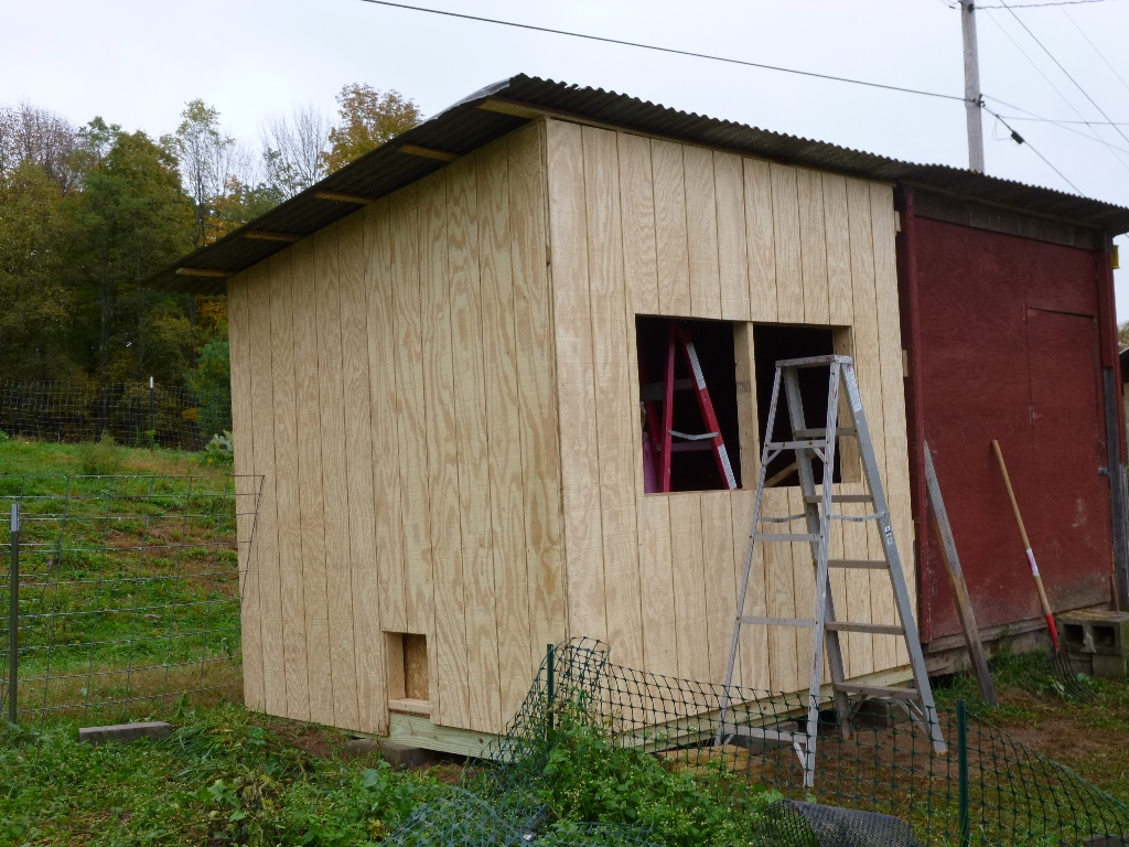 Servin Time Saloon chicken Coop BackYard Chickens Learn How to