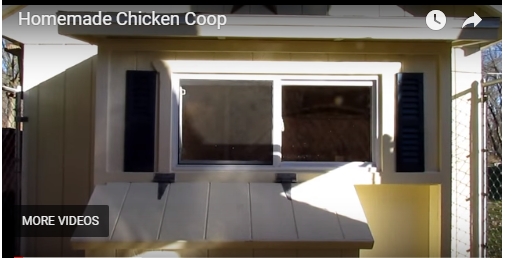 chicken coop.jpg