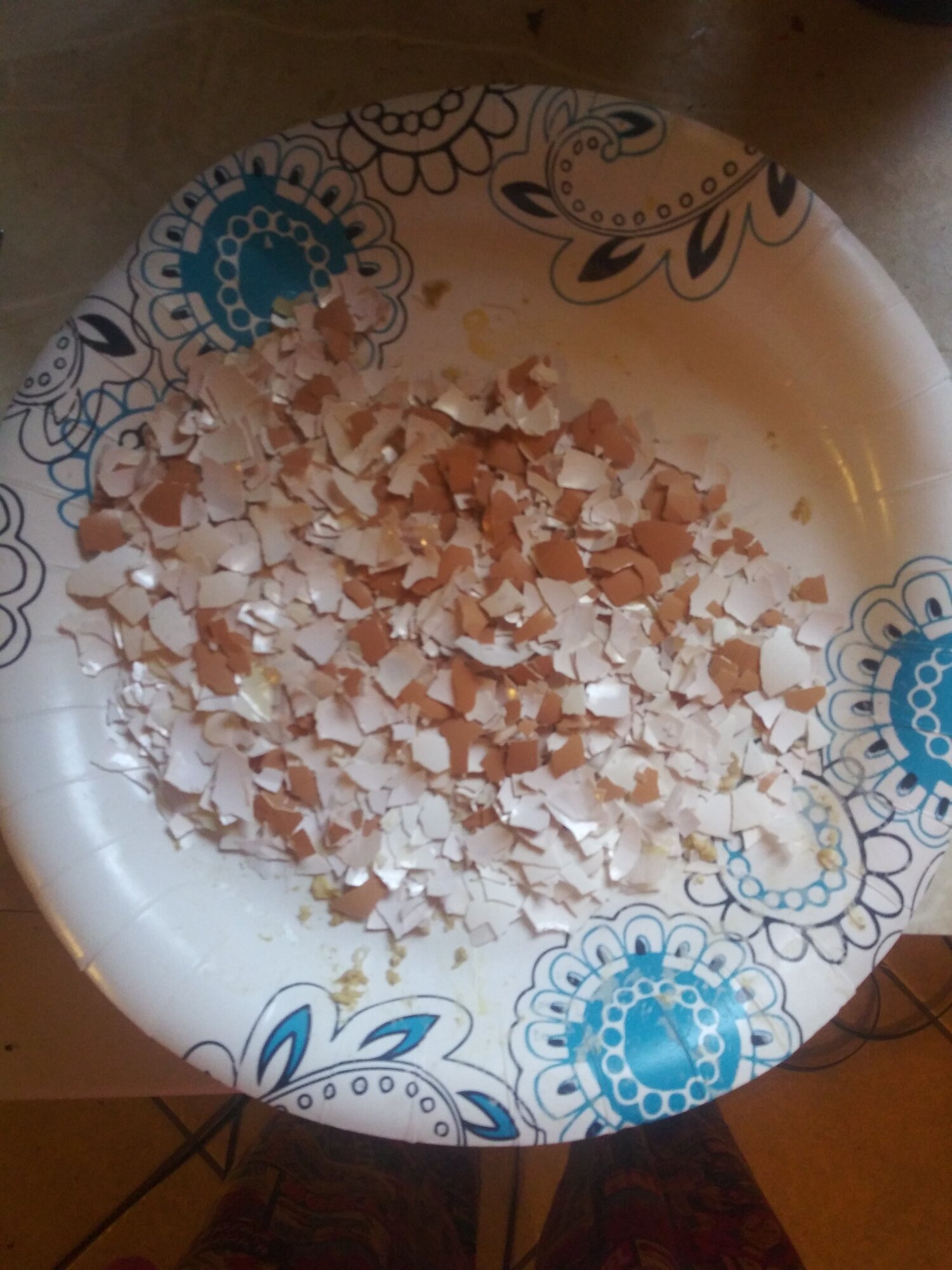 The "Calcium Booster Feed" For Your Chickens BackYard Chickens