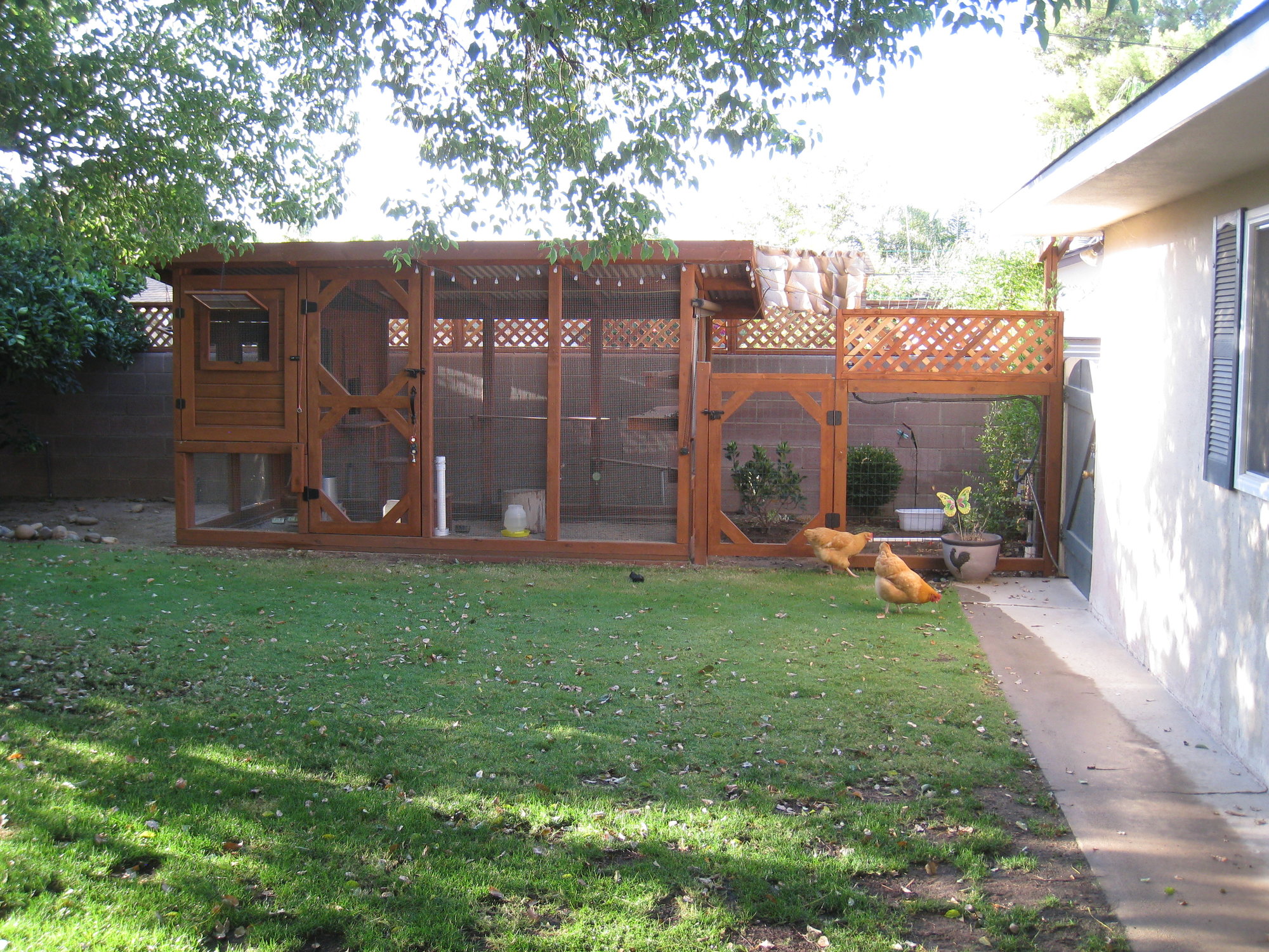 The Chicken Condo BackYard Chickens Learn How to Raise Chickens