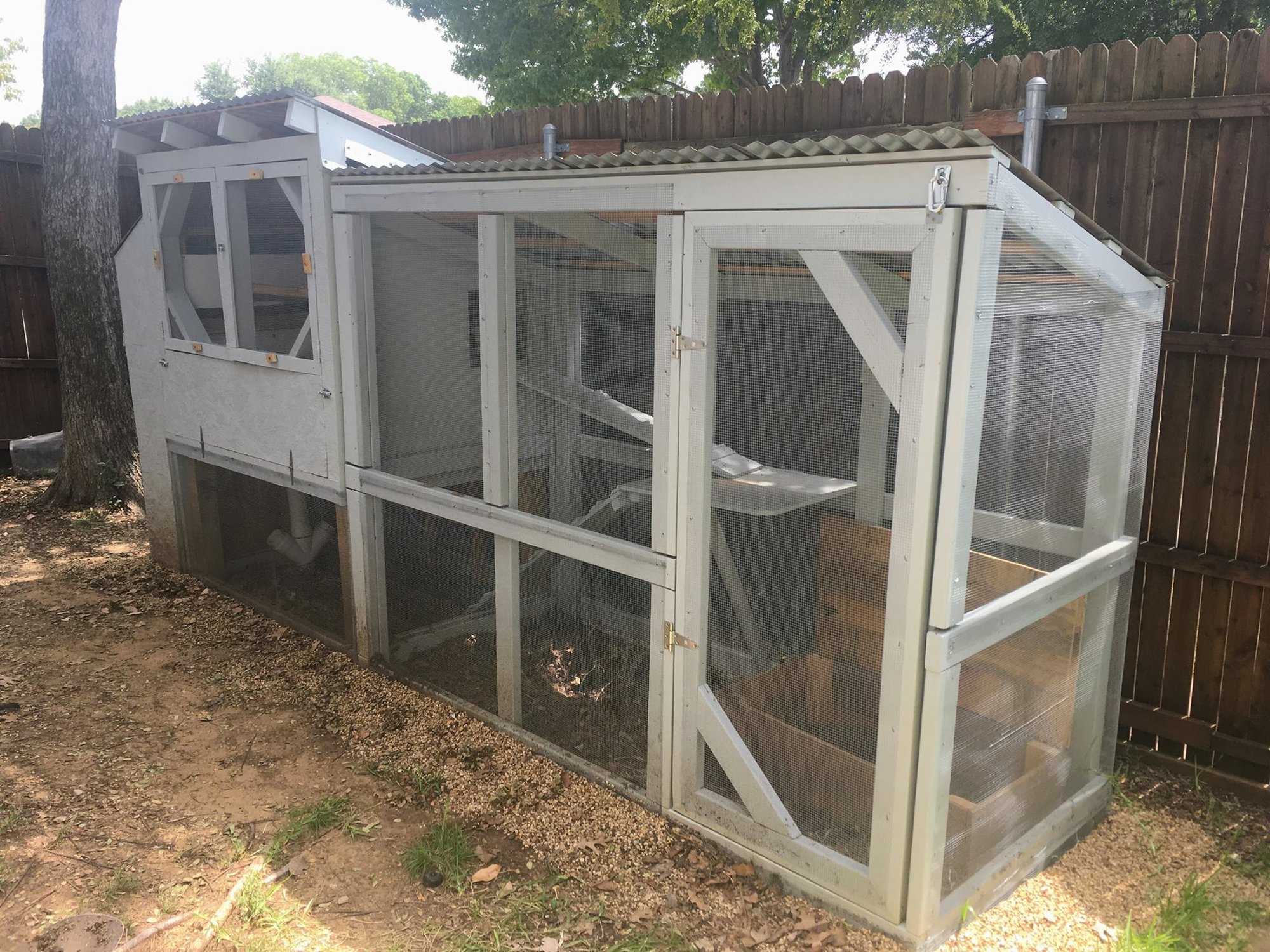 The Chicken Coop D'État! BackYard Chickens Learn How to Raise Chickens